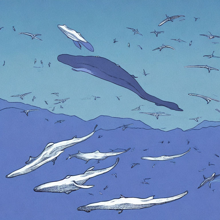 Various Whales Swimming with Birds in Ocean