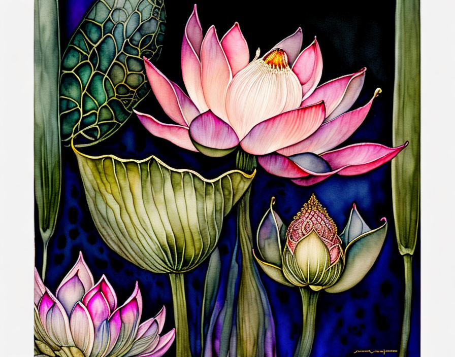 Detailed Pink Lotus Flowers Illustration on Dark Textured Background