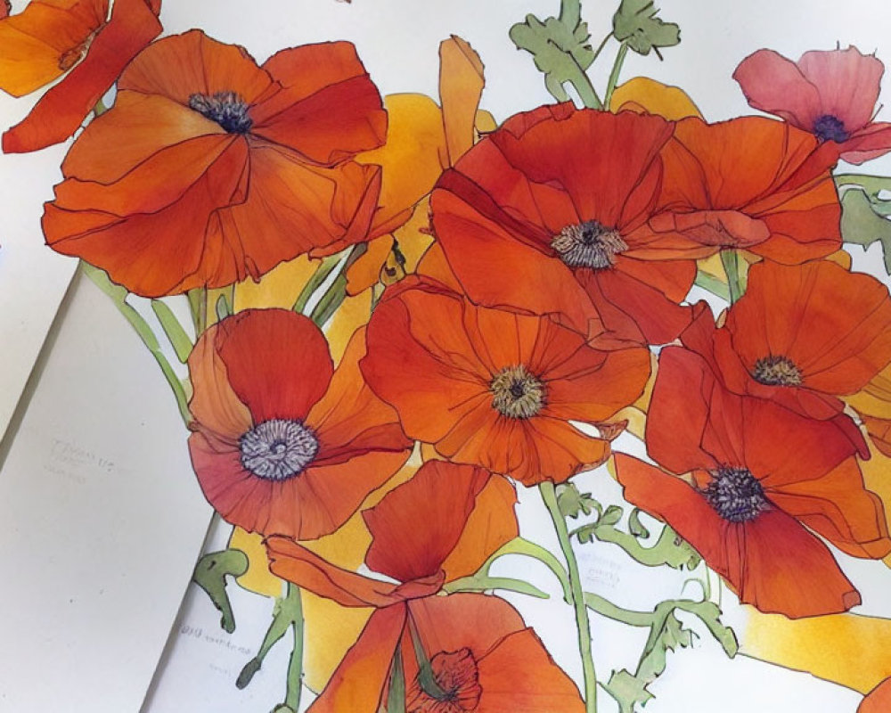 Vibrant red-orange poppies in watercolor painting