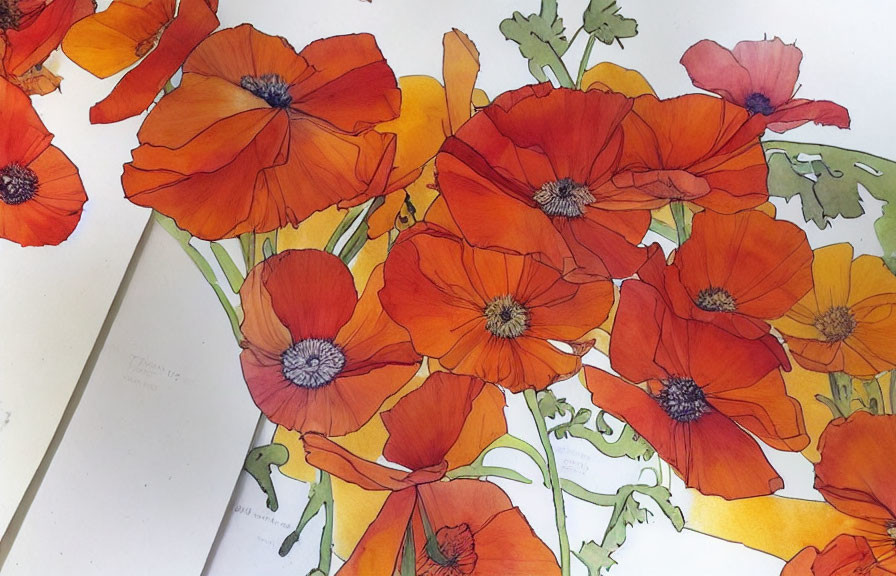 Vibrant red-orange poppies in watercolor painting