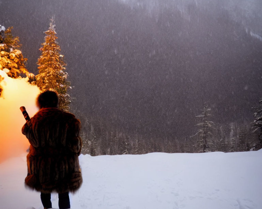 Person in Fur Coat Standing on Snow, Mountains in Background