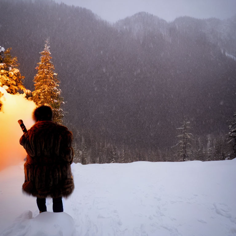 Person in Fur Coat Standing on Snow, Mountains in Background