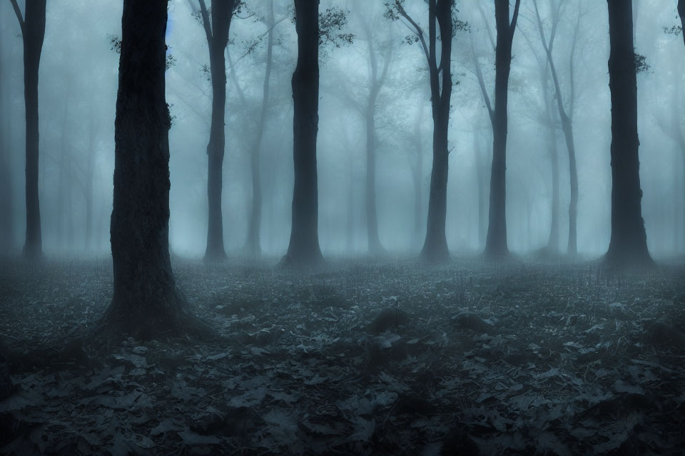 Misty blue forest with tall trees and foggy atmosphere