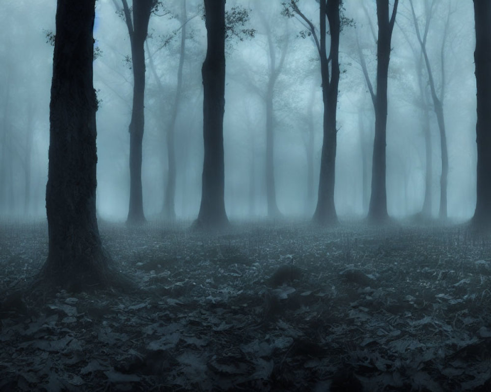 Misty blue forest with tall trees and foggy atmosphere