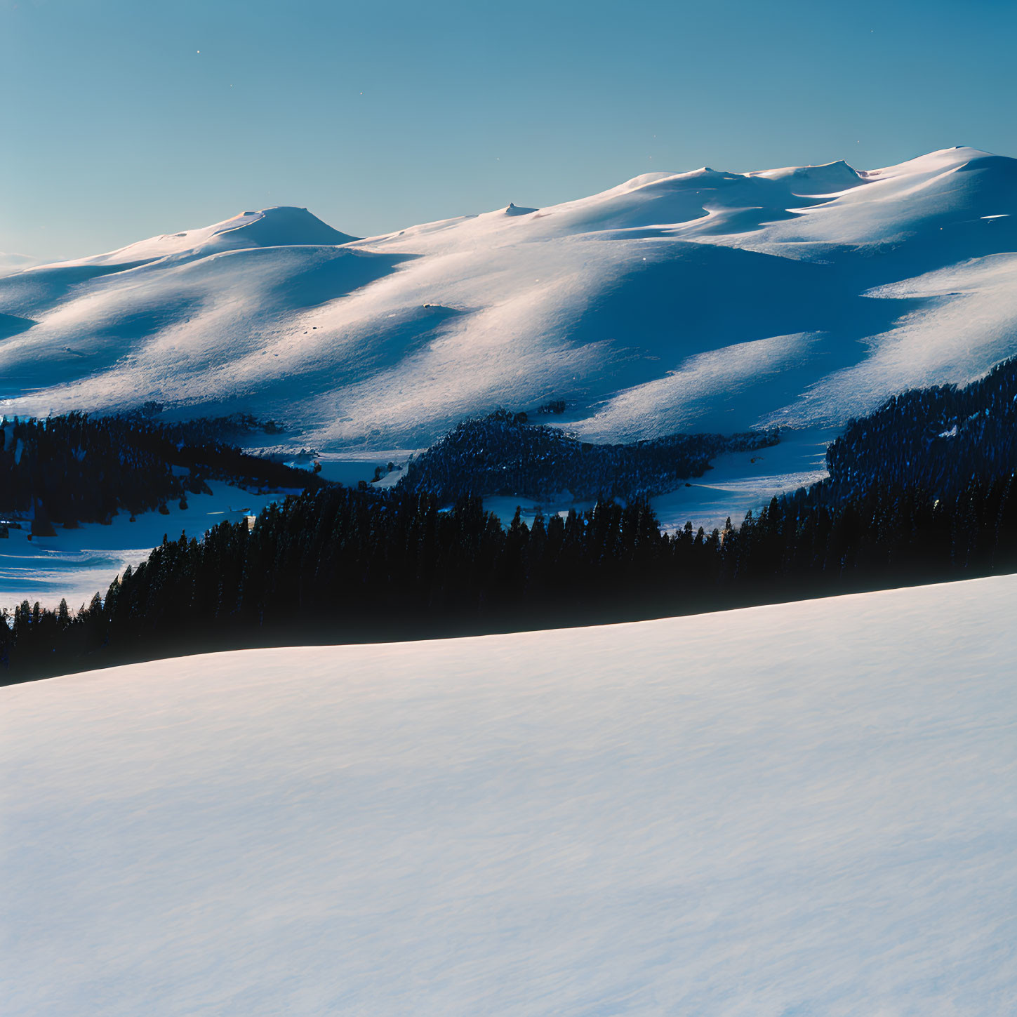 Snow-covered hills and evergreen trees in serene winter landscape