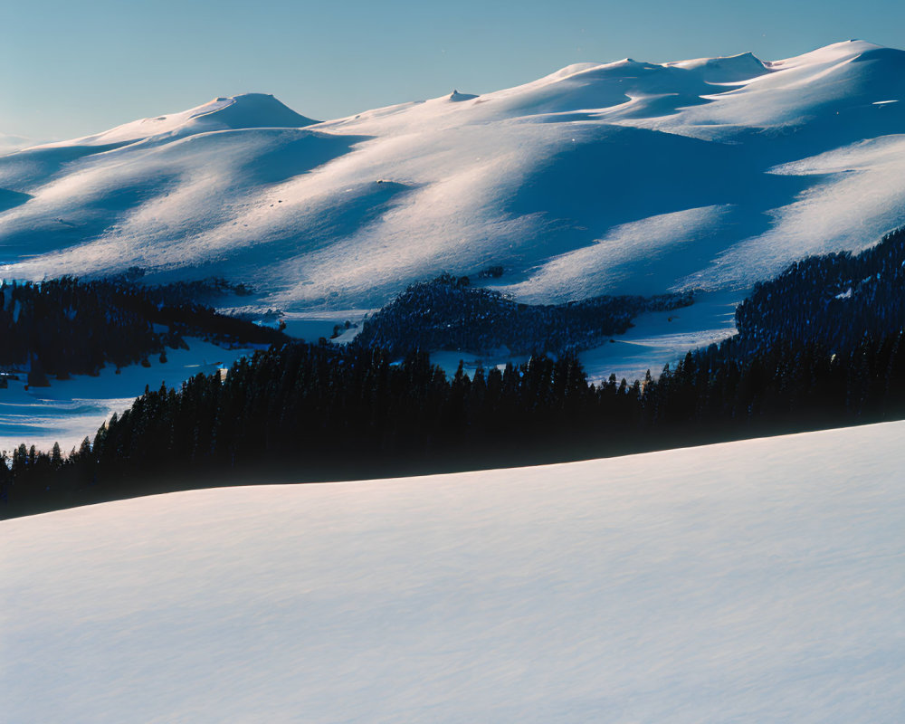 Snow-covered hills and evergreen trees in serene winter landscape