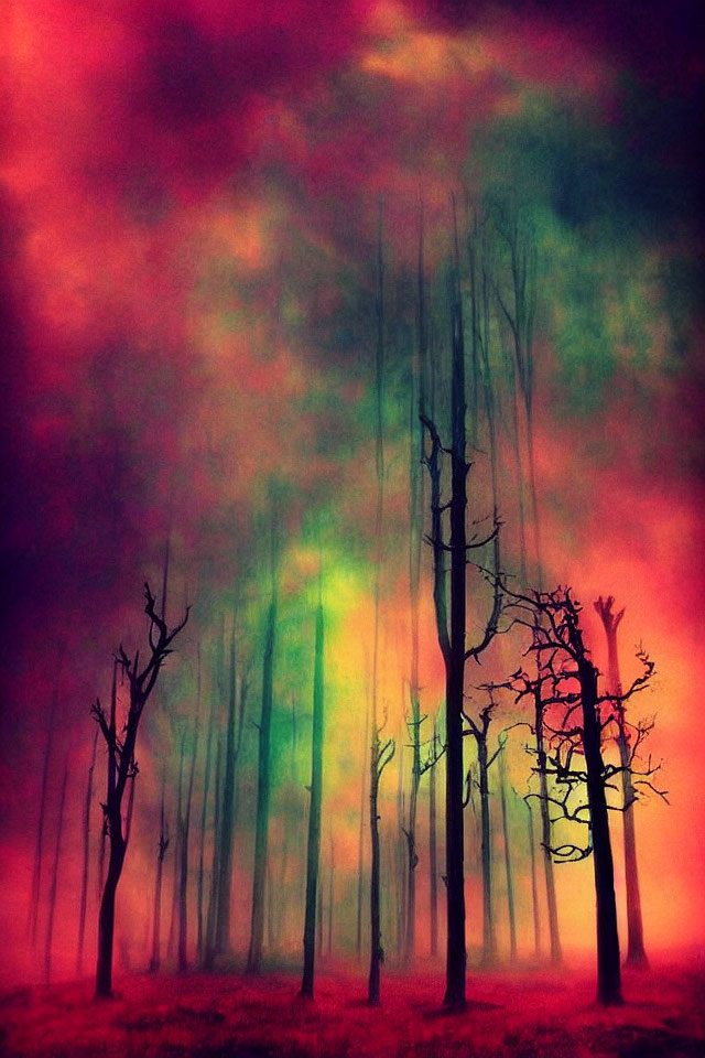 Surreal forest scene with bare trees against dramatic sky