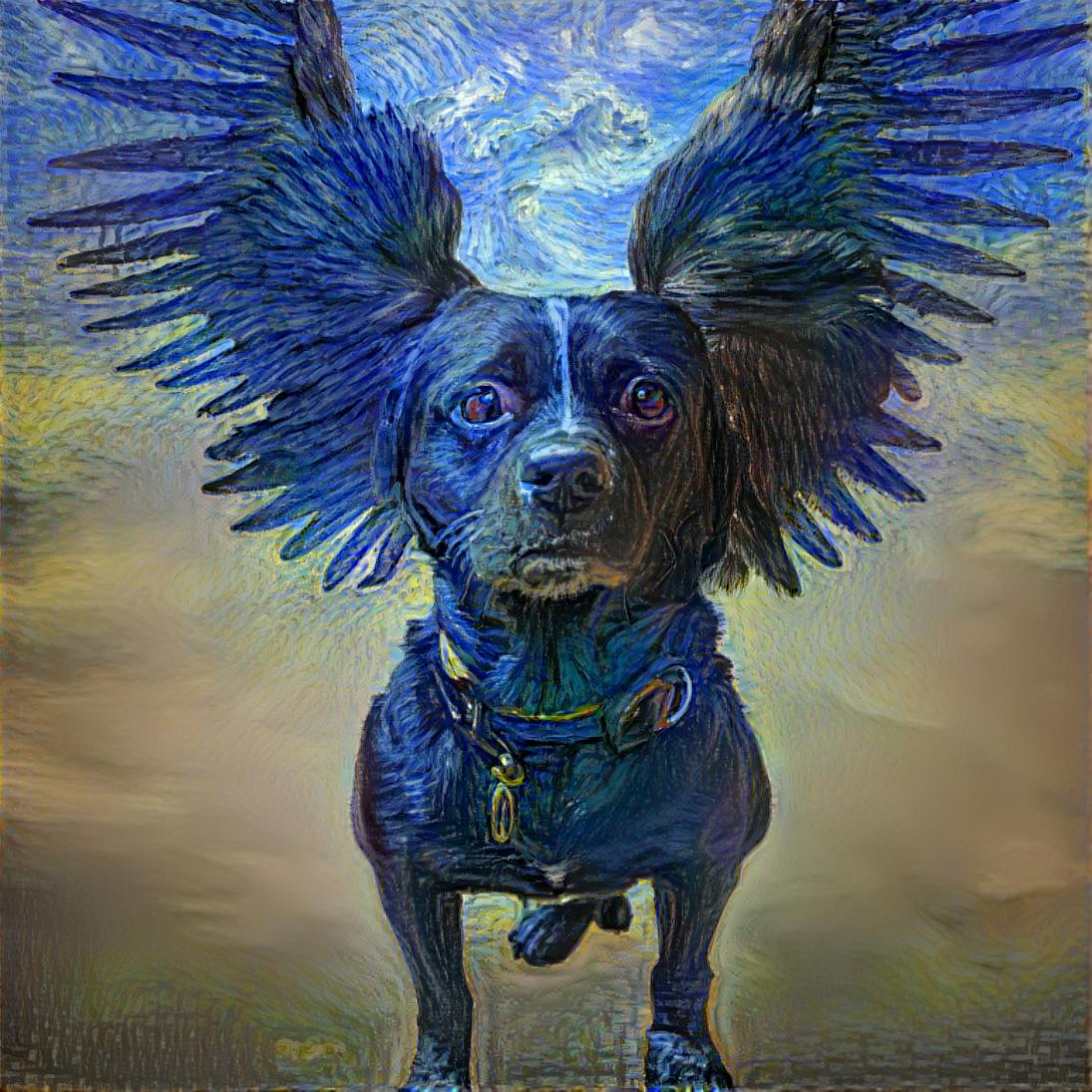 When Blue Dogs Fly