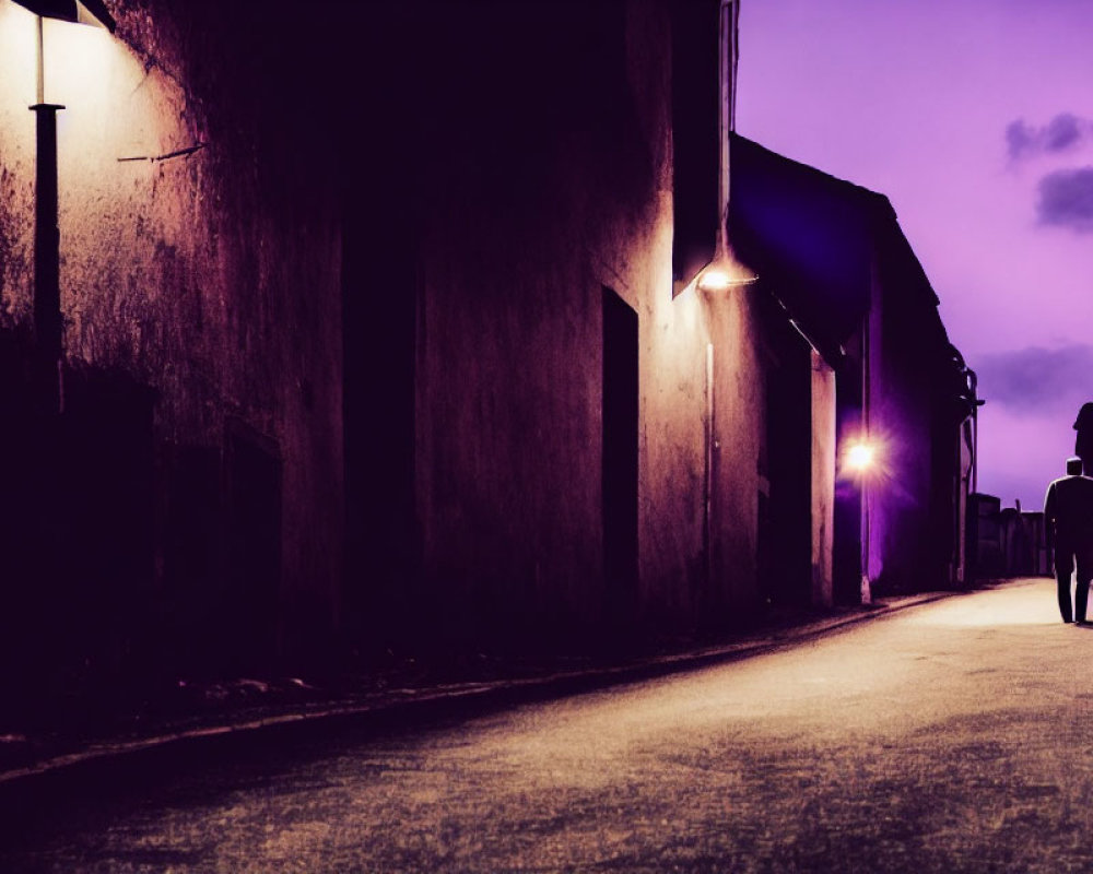 Silhouette of person walking on dimly lit street at twilight