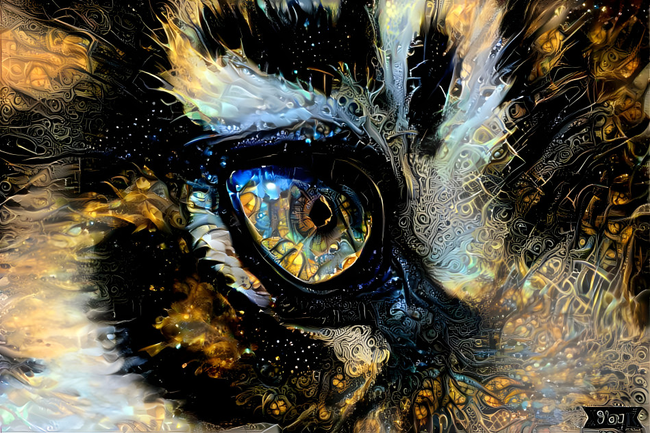 the eye