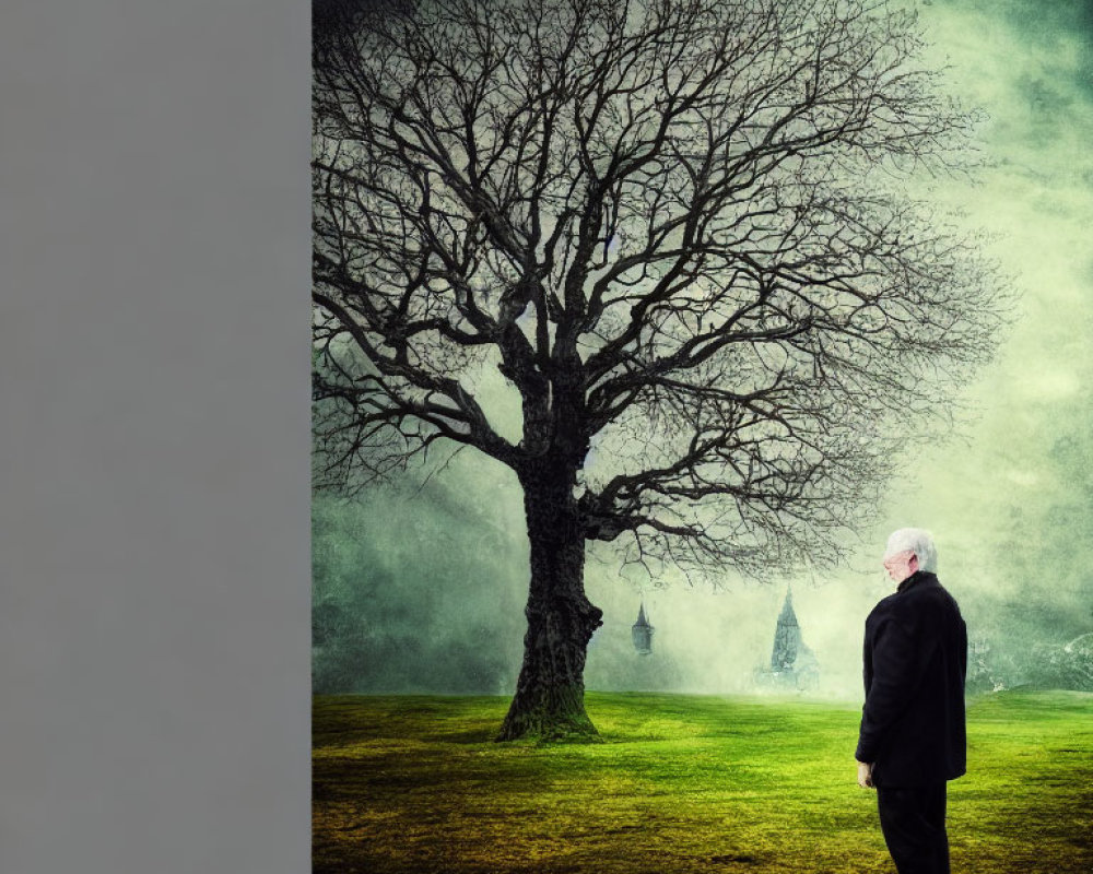 Elderly man in black suit gazes at leafless tree in misty green landscape