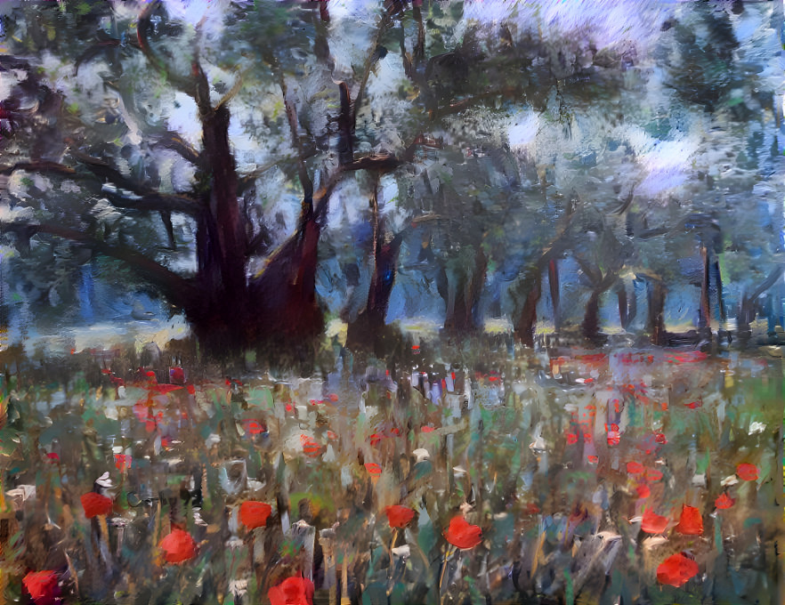 poppies