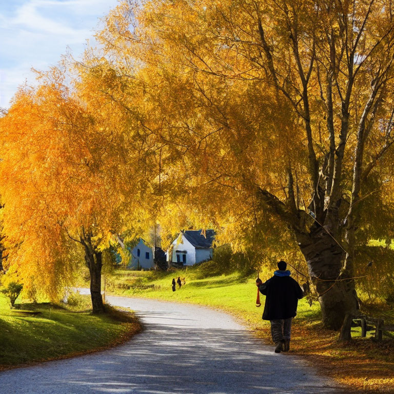 Person walking on road lined with golden trees in autumn scene.