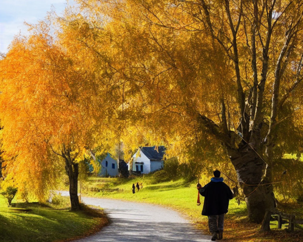 Person walking on road lined with golden trees in autumn scene.