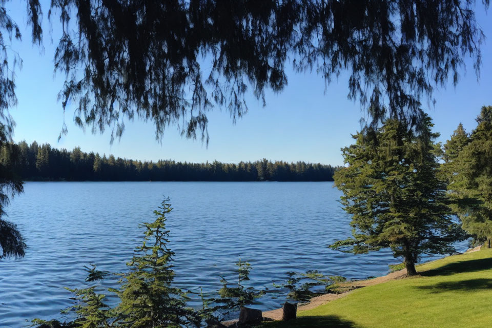 Tranquil Lake Scene with Lush Trees and Blue Sky