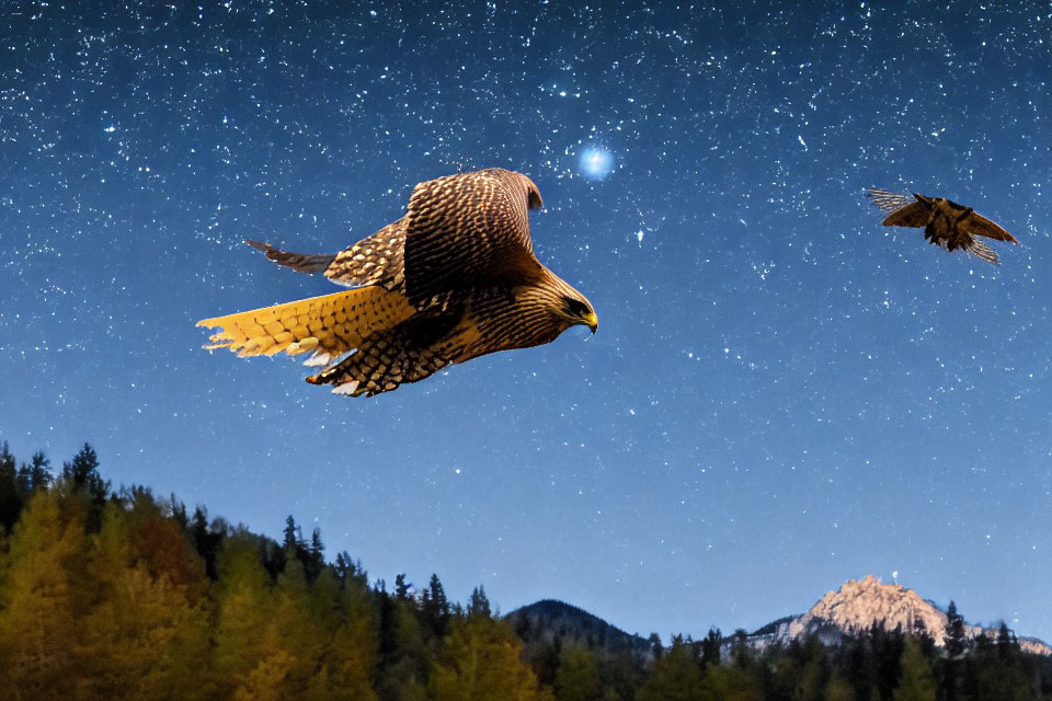 Birds flying in night sky with stars, pine trees, and mountain peak.