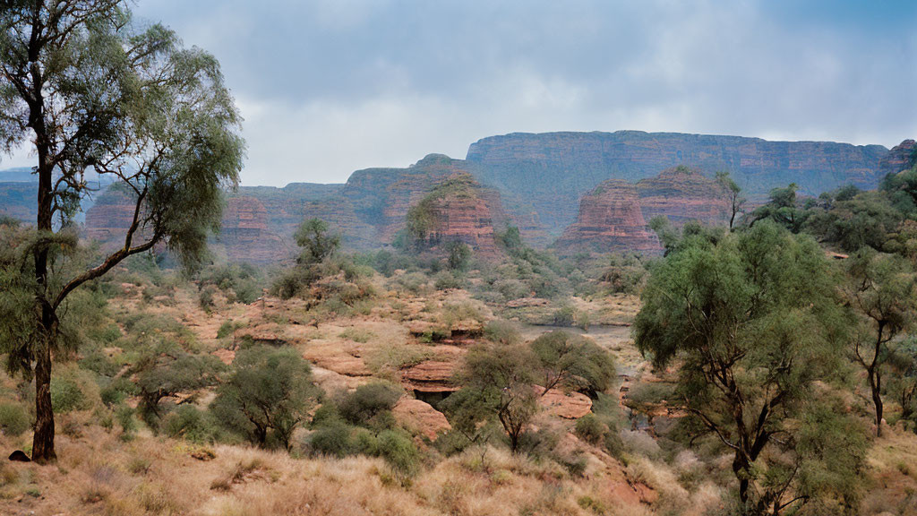 Desert landscape with rocky outcrops and sparse greenery