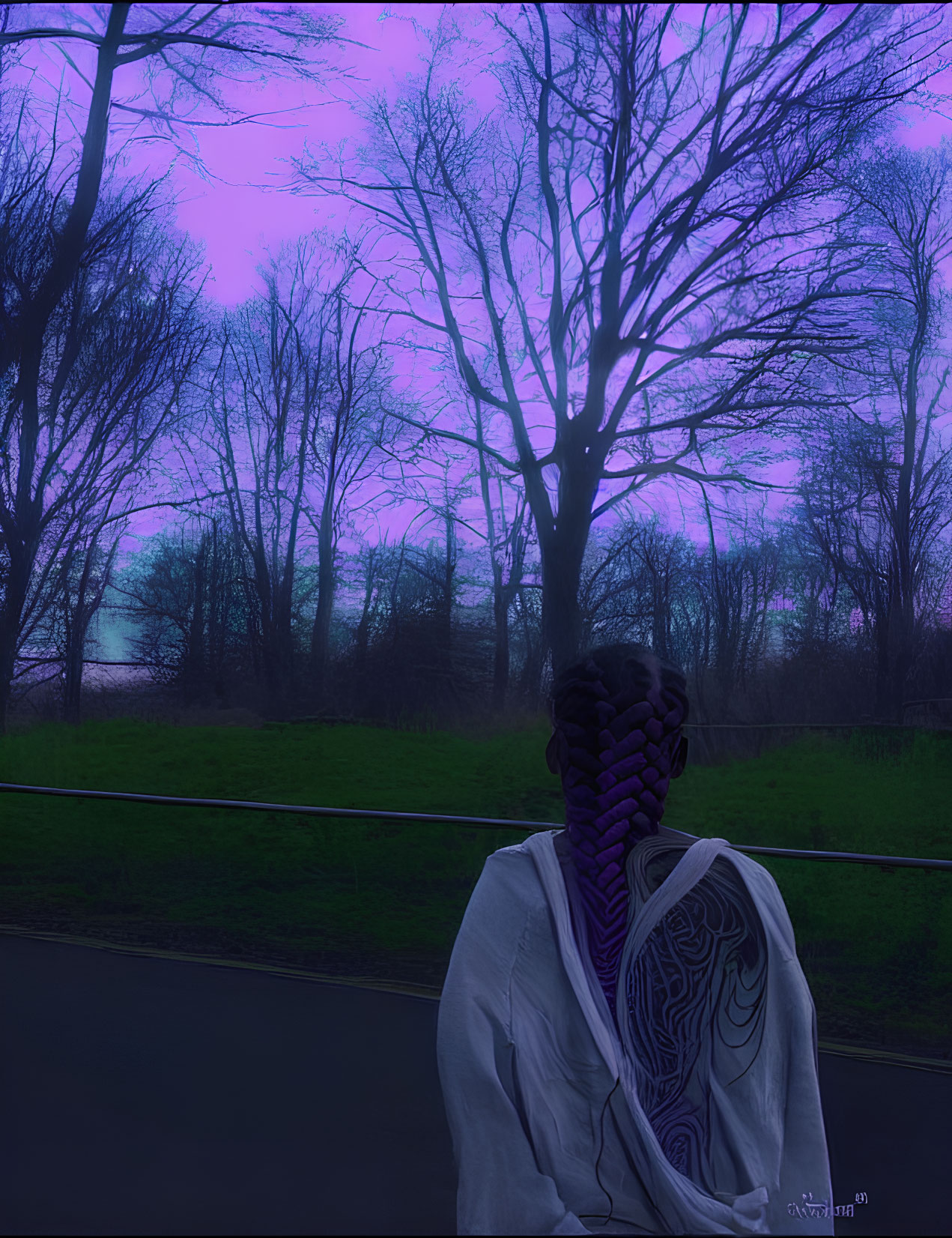 Patterned person on road with trees and dusk sky in background