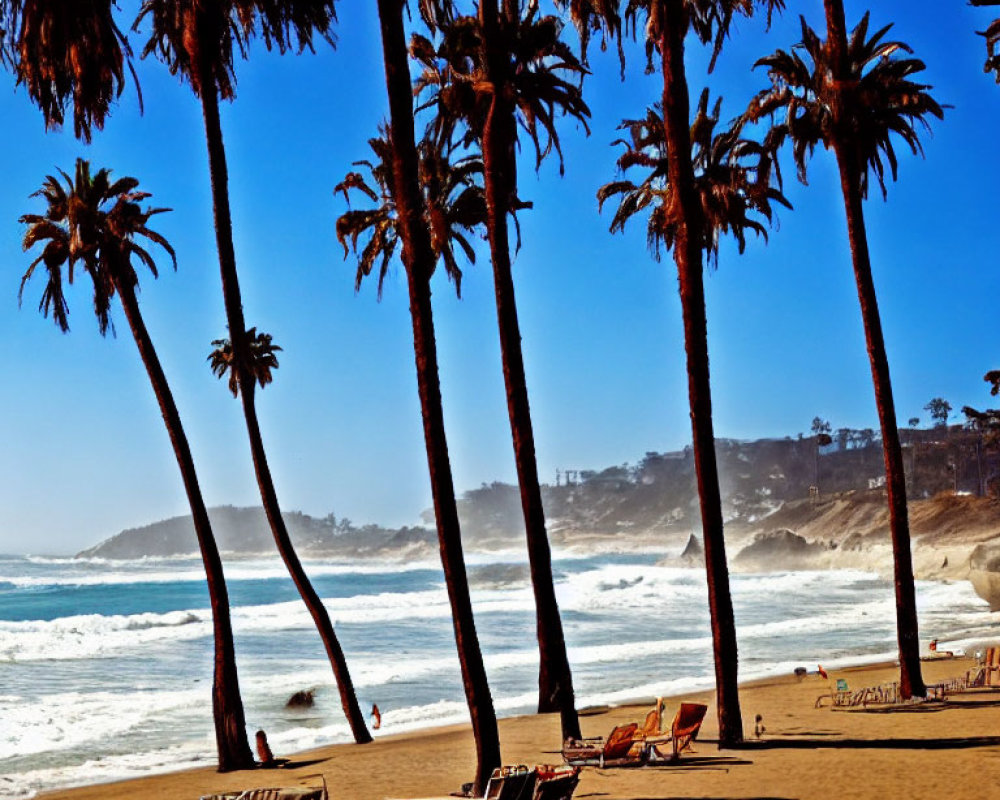 Sandy beach with palm trees, waves, and lounge chairs