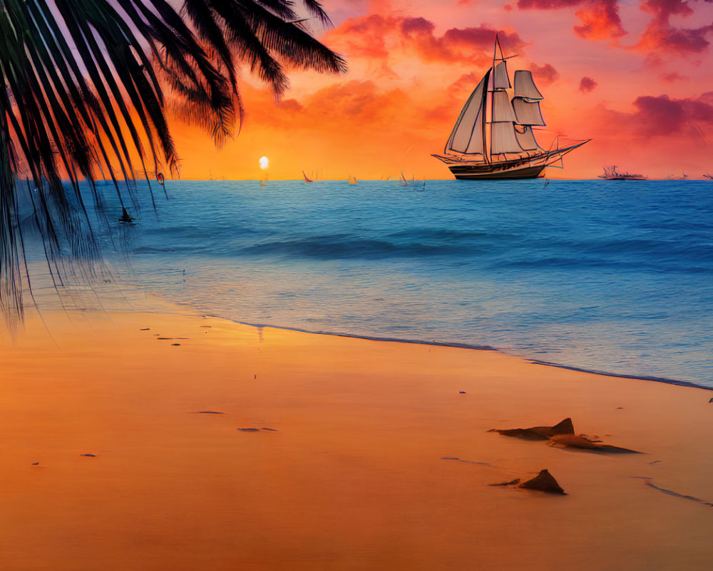 Sailboat on Sea at Sunset with Palm Fronds and Starfish