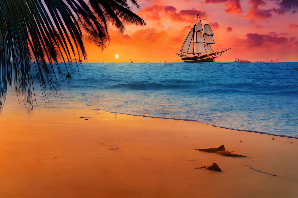 Sailboat on Sea at Sunset with Palm Fronds and Starfish