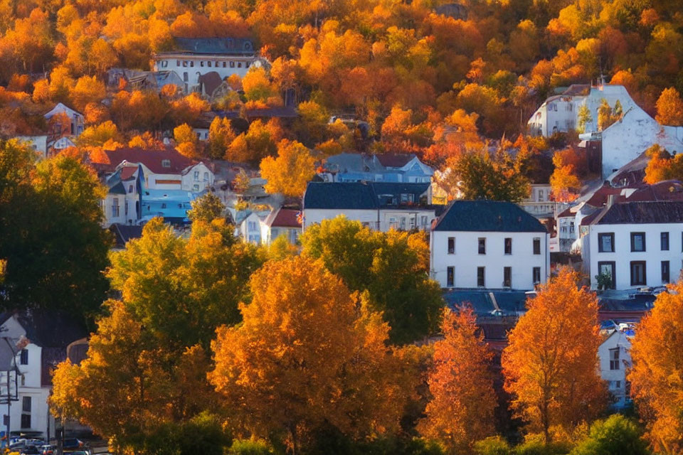 Vibrant autumn scene: picturesque town with orange and yellow trees against white and grey buildings