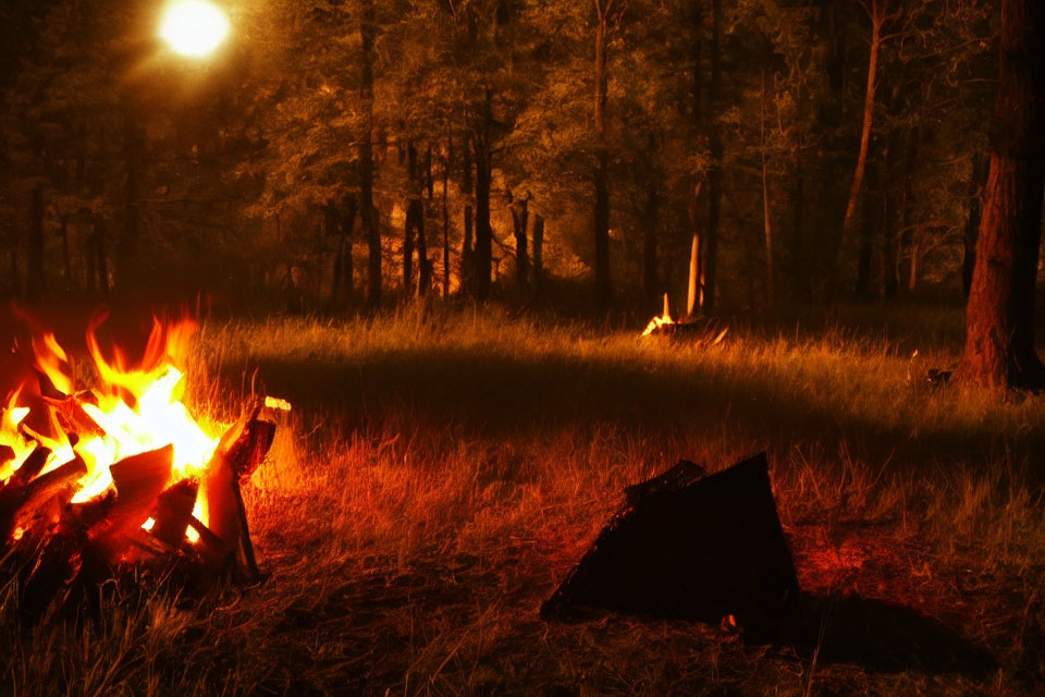 Nighttime forest scene with glowing campfire and illuminated trees