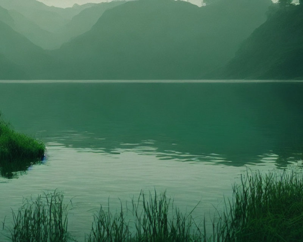 Tranquil Lake with Misty Mountain and Lush Greenery