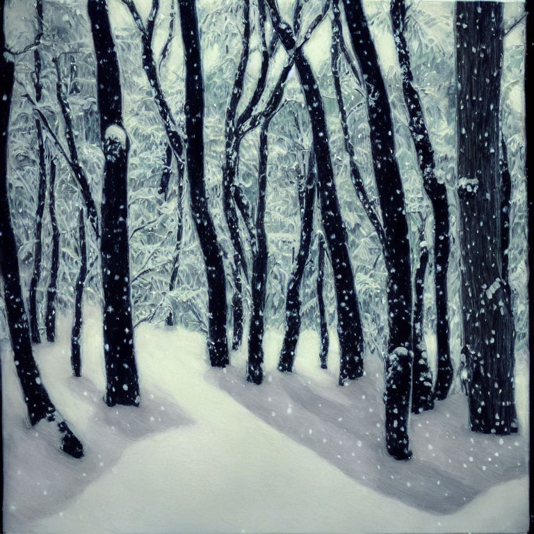 Winter Forest