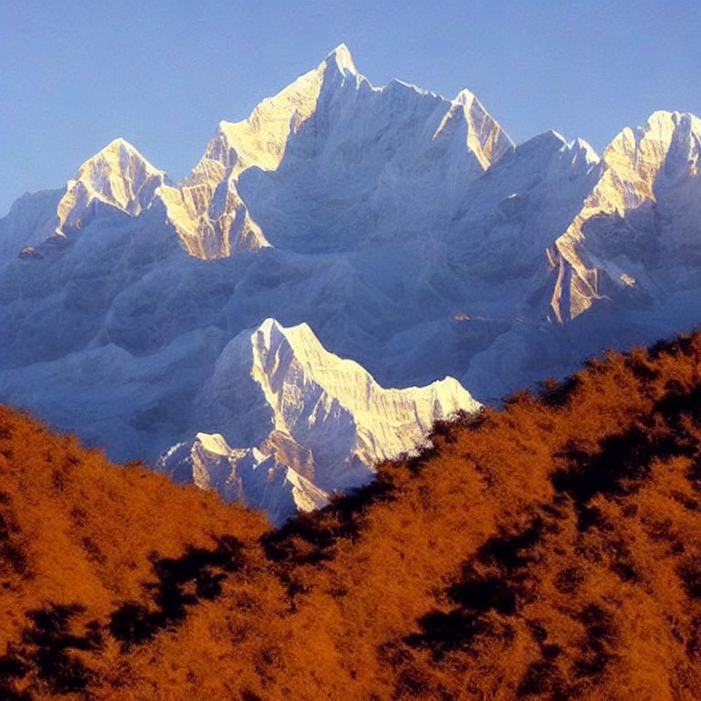 Snow-covered mountain peaks above autumn forest in clear blue sky