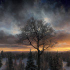 Snow-covered forest under serene dusk sky with twinkling stars, prominent bare tree, distant mountains