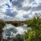 Colorful landscape with house, pond, flowers, castle, and fluffy clouds