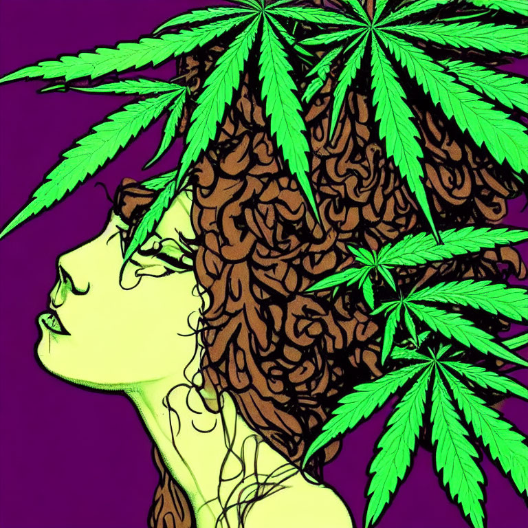 Profile view illustration: person with curly hair and cannabis leaves on purple background