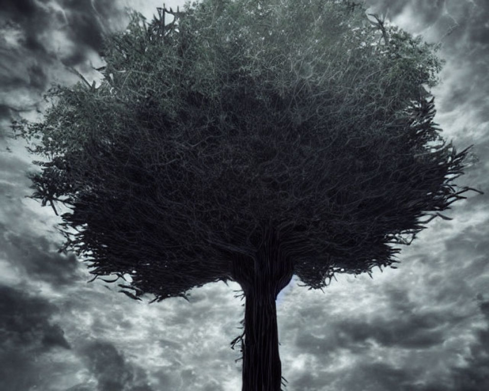 Solitary tree with intricate branches under dramatic cloudy sky