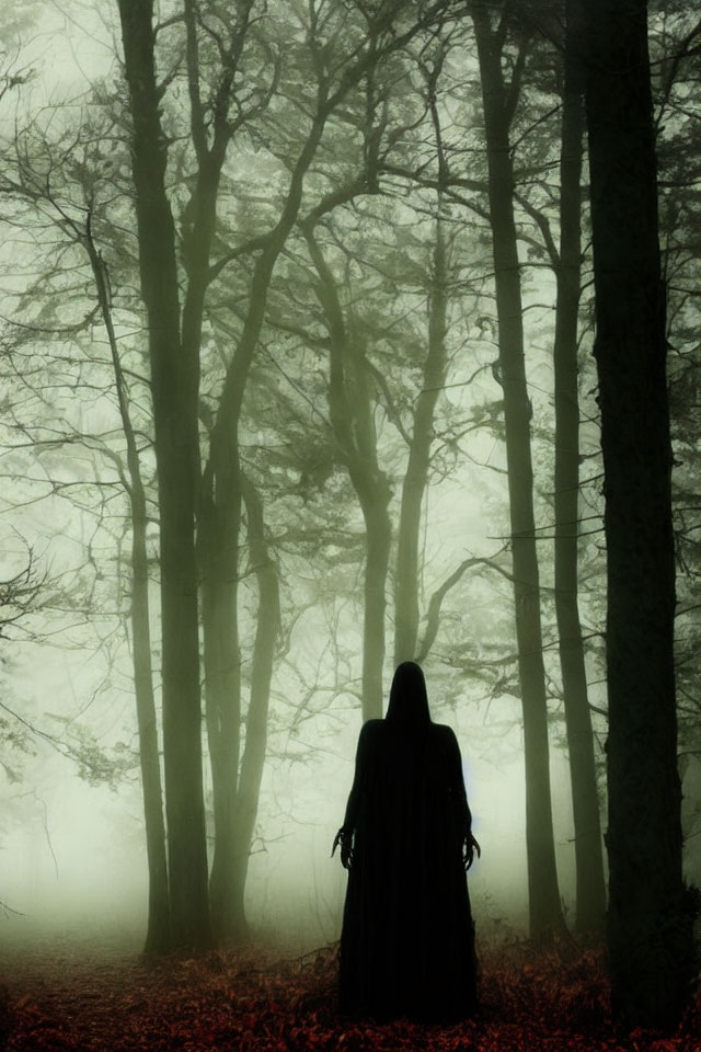 Cloaked Figure in Misty Forest with Red Leaves and Bare Trees