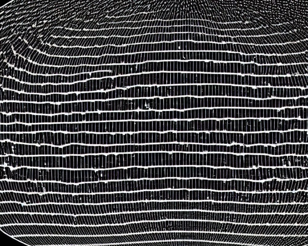 White Lines on Black Background Forming Unique Digital Fingerprint Pattern