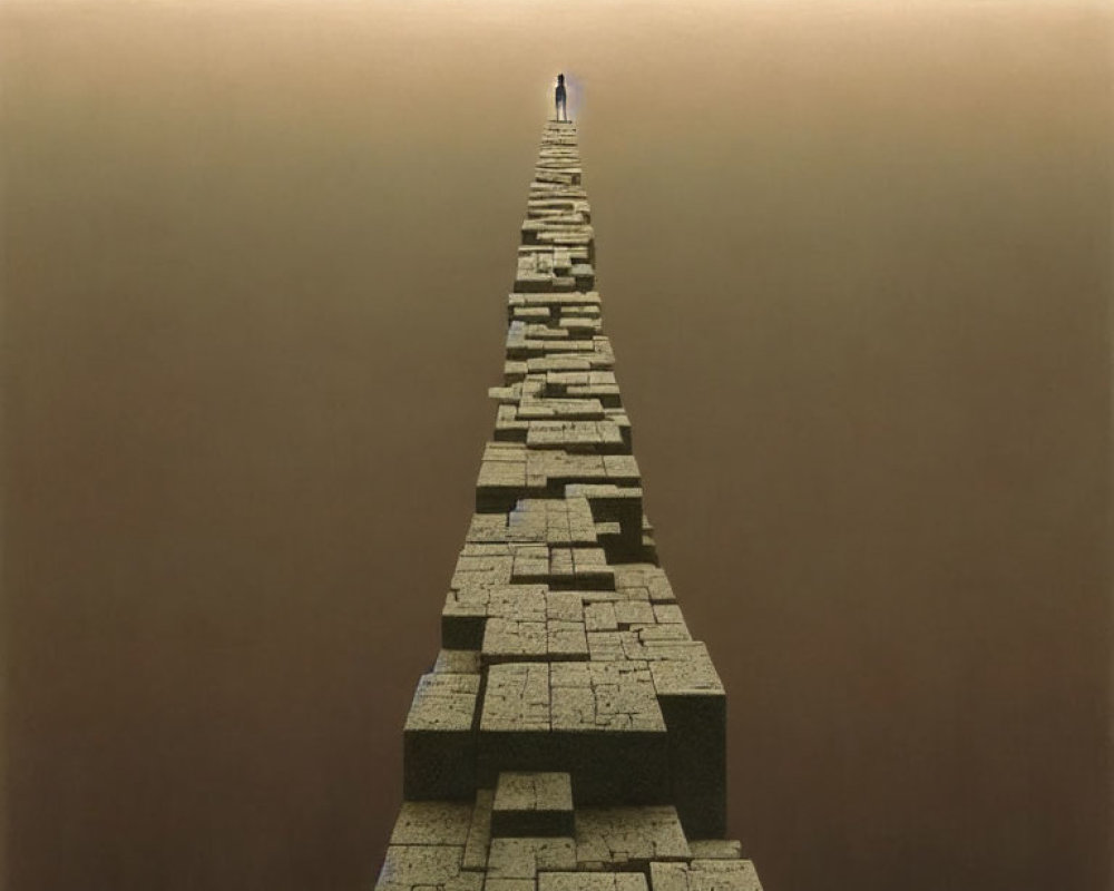 Person on Stone Path in Hazy Landscape under Cloudy Sky