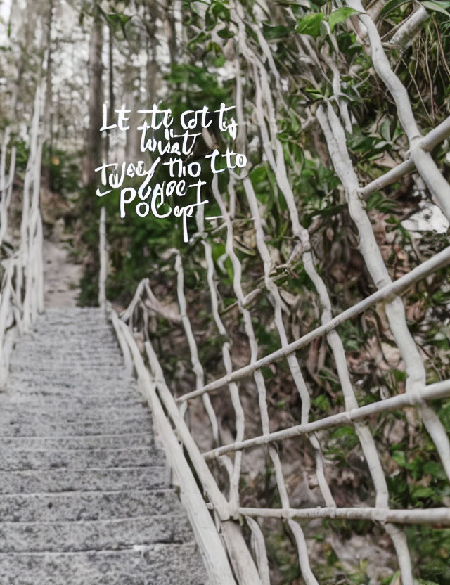 Hand-painted white lettering on wooden forest staircase