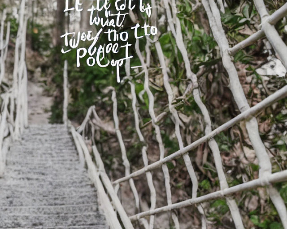 Hand-painted white lettering on wooden forest staircase