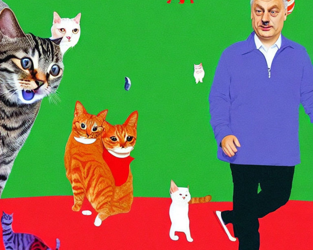 Man in Blue Sweater Surrounded by Cartoon Cats and Dog Silhouette