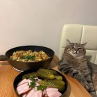 Grey Cat with Comically Edited Plates on Table