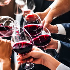 Group of People Clinking Red Wine Glasses in Social Setting