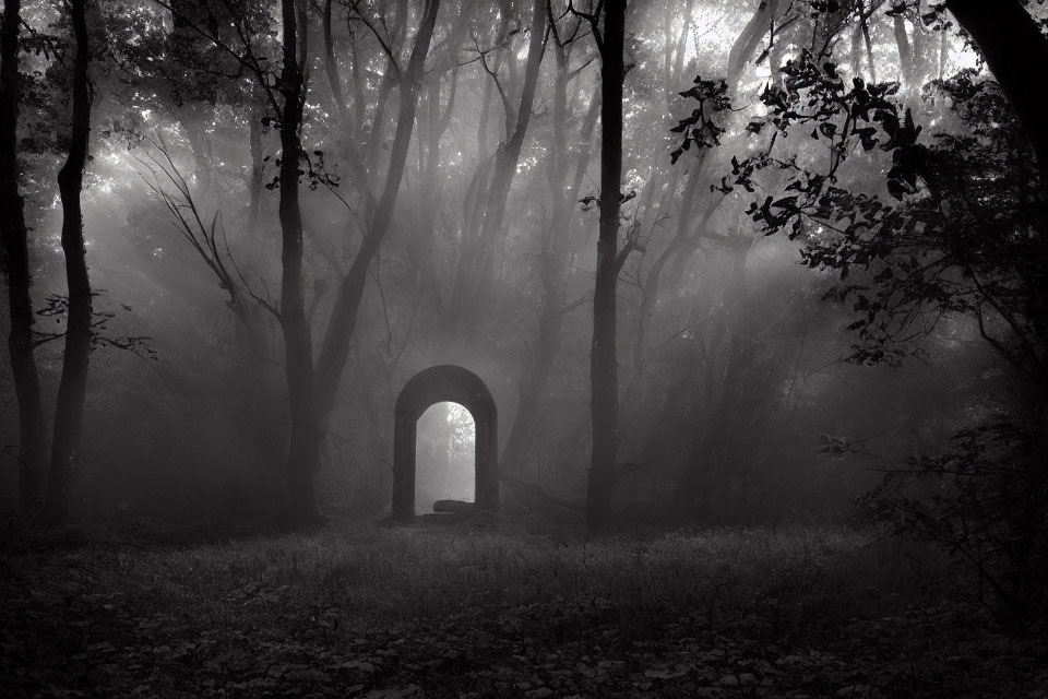 Misty Black and White Forest with Bare Trees and Archway