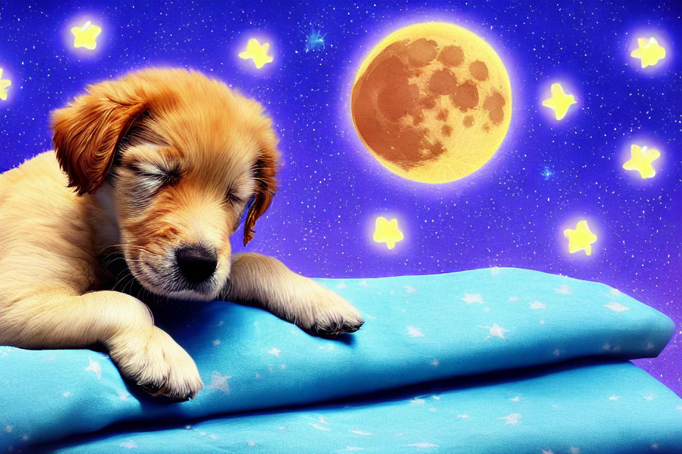 Sleepy puppy on star-patterned blue pillow with dreamy cosmic background