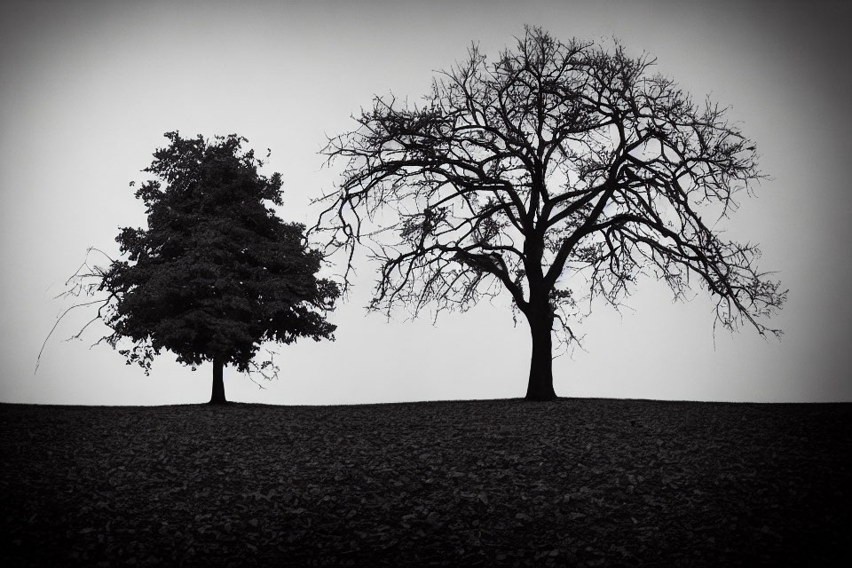 Monochrome landscape with two trees on hill under overcast sky