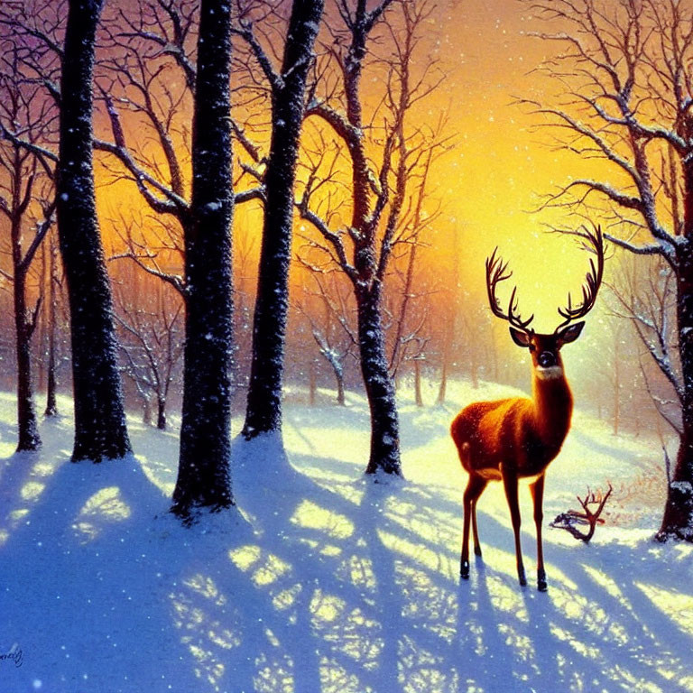 Majestic stag in snowy forest with sunlight and long shadows