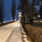 Nighttime Park Scene with Lit Pathway, Trees, Street Lamps, Flowers, and River