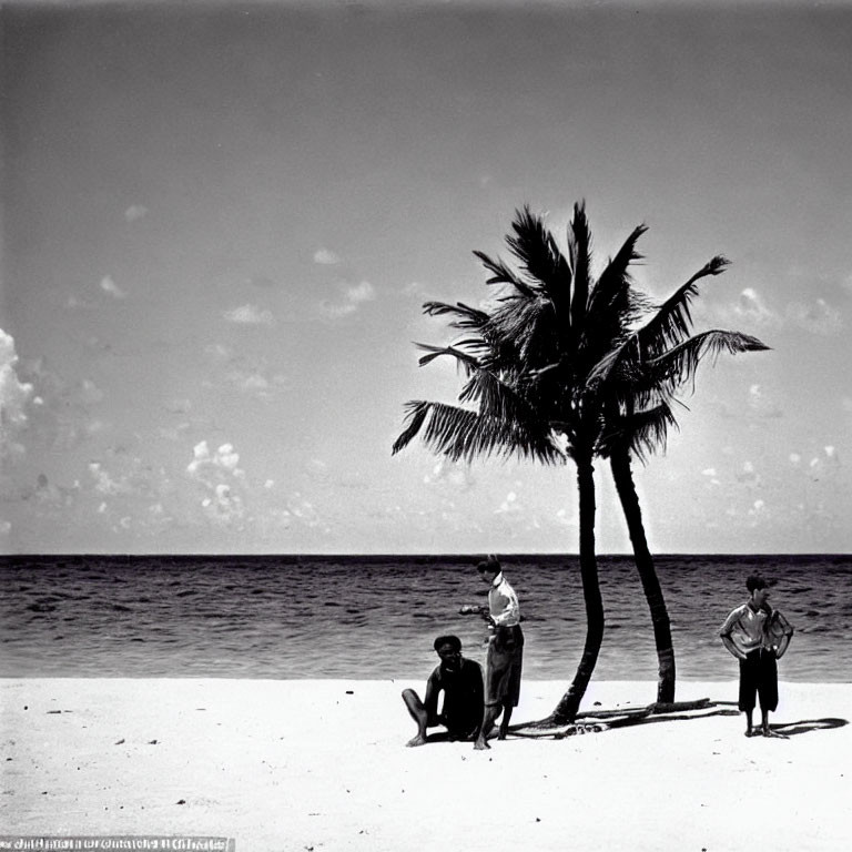 Monochrome image: Three people on beach with palm tree