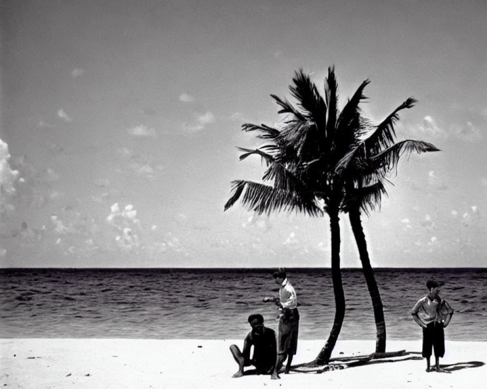 Monochrome image: Three people on beach with palm tree