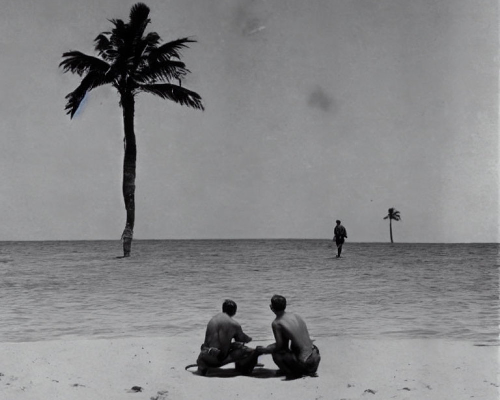 Beach scene with two people, palm trees, and walking figure